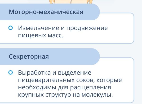 как помочь желудку переварить пищу